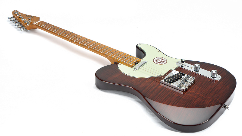 Фото Электрогитара EART NK-C1 Trans Brown