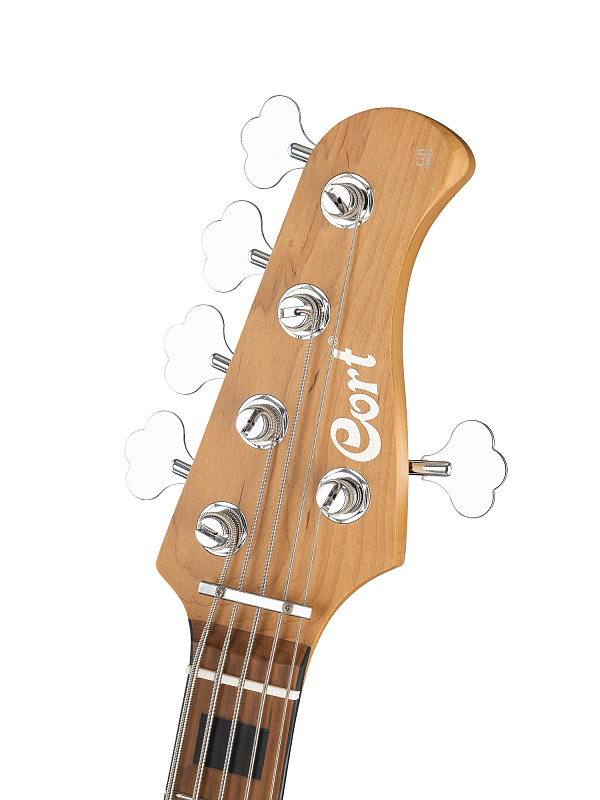 Фото Бас-гитара Cort GB-Modern-5-OPCG GB Series