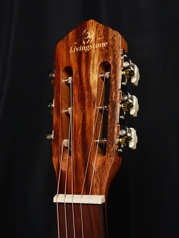 Фото Гитара Livingstone Folkblues NS 39" с вырезом