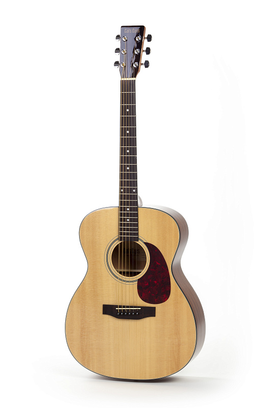 Фото Акустическая гитара TOKAI CAT EYE CE20T N