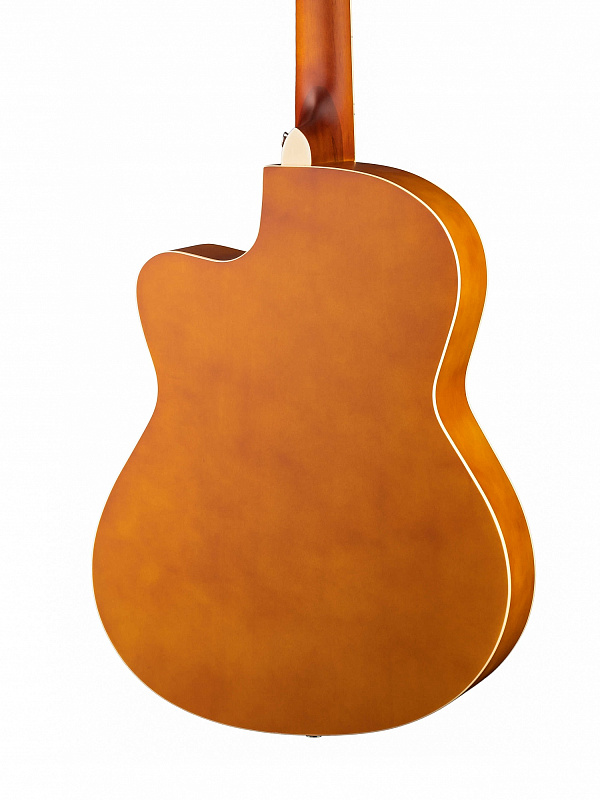 Фото Акустическая гитара Naranda HS-3911-N