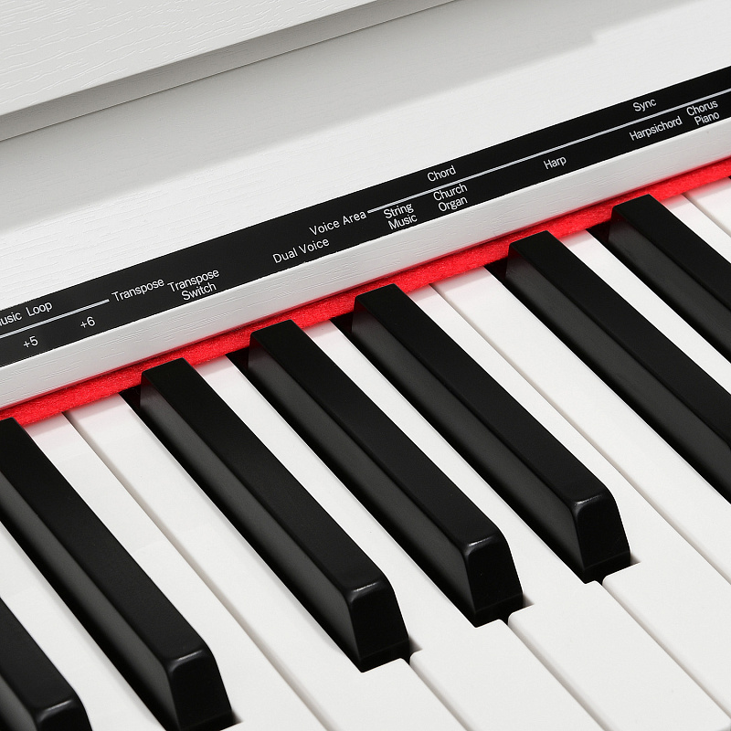 Фото Цифровое фортепиано EMILY PIANO D-54 WH