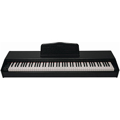 Цифровое пианино ARAMIUS API-120 MBK