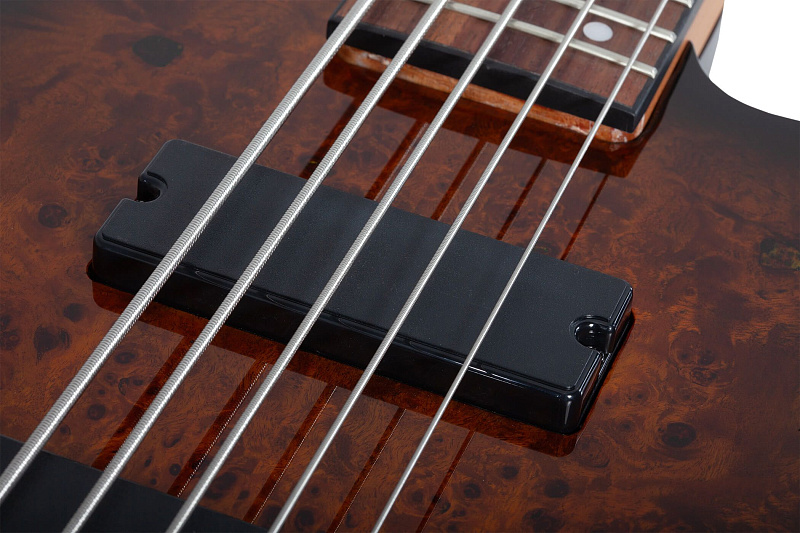 Фото Бас гитара Schecter C-5 STANDARD TB