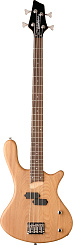 Washburn T12 NS