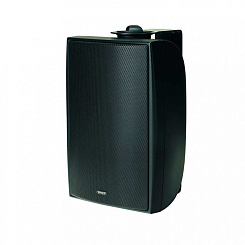 Tannoy DVS 6T