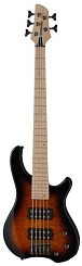 Fernandes T5X(08)TS