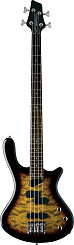 Washburn T14Q TS