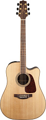 TAKAMINE GD93CE