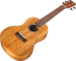 CORDOBA 28C CONCERT UKULELE HAWAIIAN KOA 