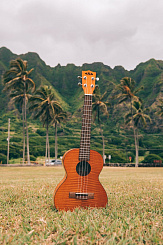 KALA KA-CEM Kala Concert Exotic Mahogany Ukulele