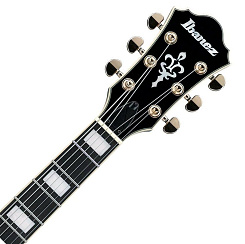 IBANEZ AG95QA-DBS