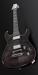 Framus Camarillo Custom