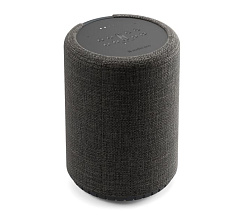 Портативная акустика AUDIO PRO G10 Dark Grey