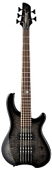 FERNANDES T5X TC SBG