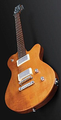 Framus Panthera Pro