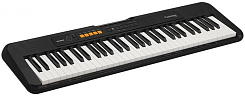 Casio CT-S100