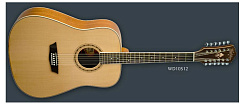 WASHBURN WD10S12