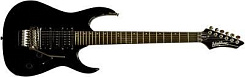 Washburn WR154 B