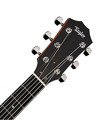 TAYLOR 314ce 300 Series