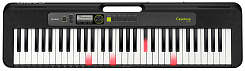 Casio LK-S250