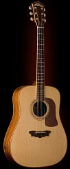 Washburn D52SWK