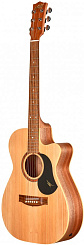 Maton PERFORMER