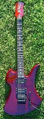 B. C. Rich NJMG(BK, TR)