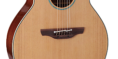 TAKAMINE LEGACY TSF40C