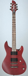 Fernandes DFX(08) WRS