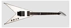 B. C. RICH NJDLXJRVPW