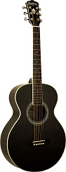 WASHBURN WMJ5S-B