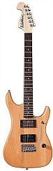 Washburn N1NM