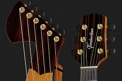 Гитара-арфа Timberline Guitars T30HGpc-E