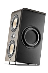 FOCAL SHAPE TWIN